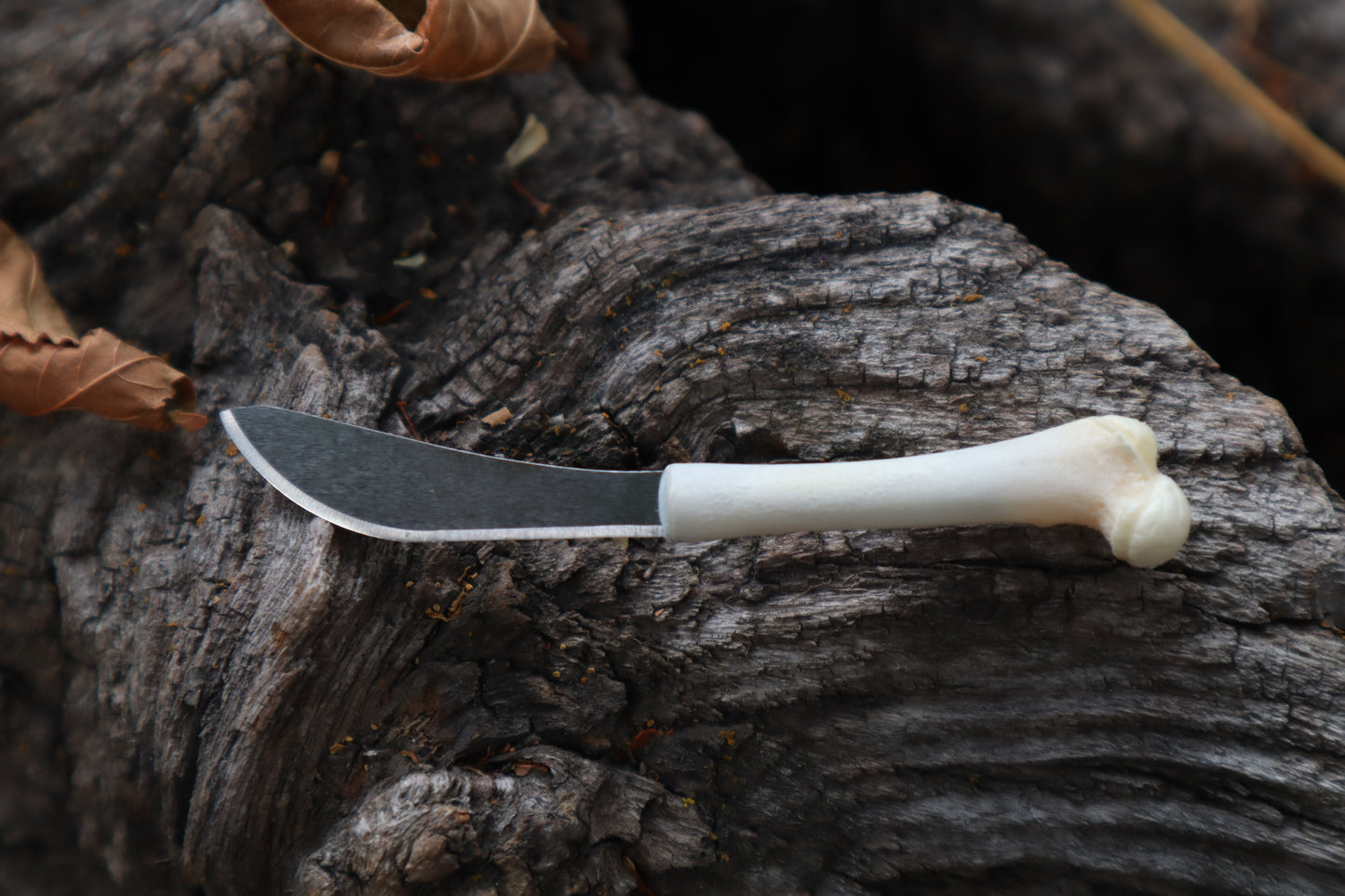 Kitten Femur Knife
