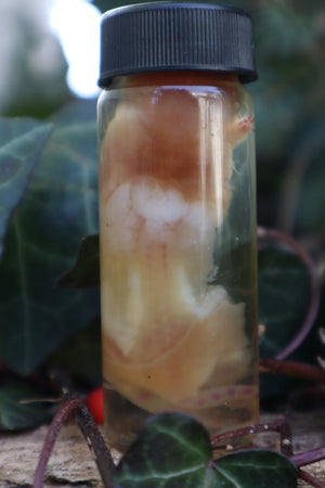 Diaphonized Snake Belly Rat