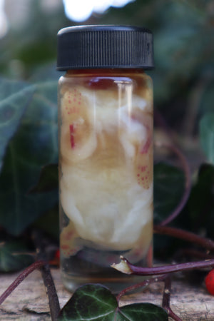 Diaphonized Snake Belly Rat