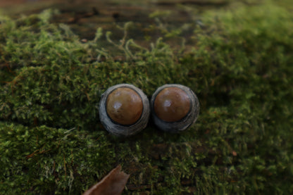 Dry Preserved Kitten Eyeballs
