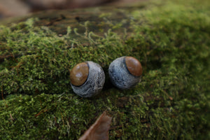 Dry Preserved Kitten Eyeballs