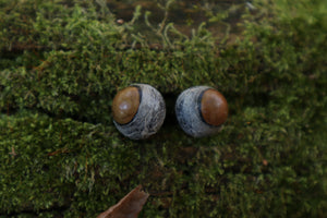 Dry Preserved Kitten Eyeballs