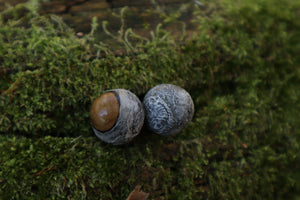 Dry Preserved Kitten Eyeballs
