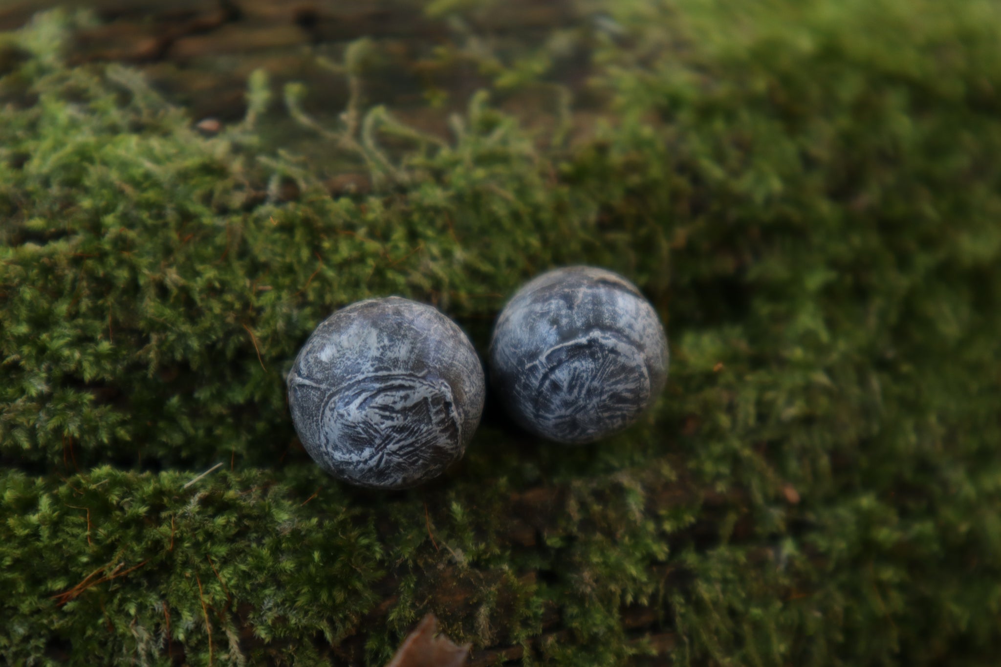 Dry Preserved Kitten Eyeballs