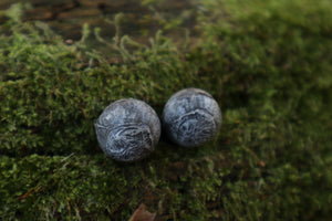 Dry Preserved Kitten Eyeballs