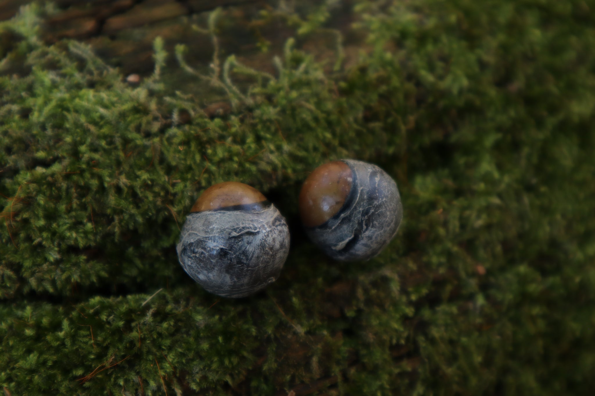 Dry Preserved Kitten Eyeballs