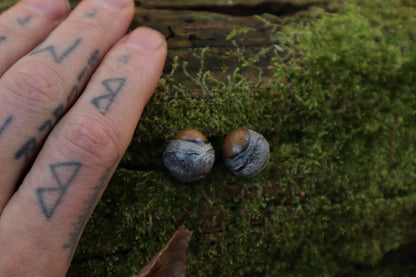 Dry Preserved Kitten Eyeballs