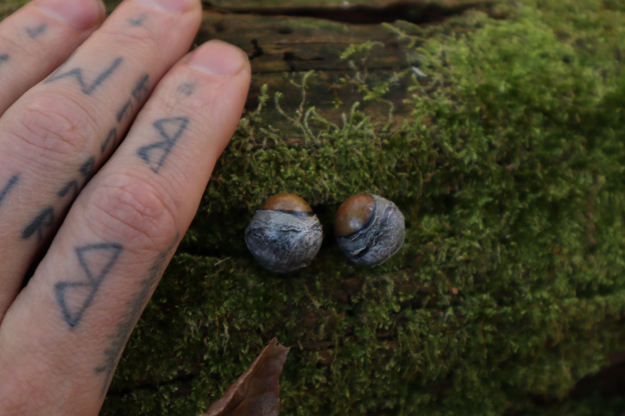 Dry Preserved Kitten Eyeballs