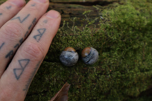 Dry Preserved Kitten Eyeballs
