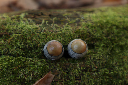Dry Preserved Kitten Eyeballs