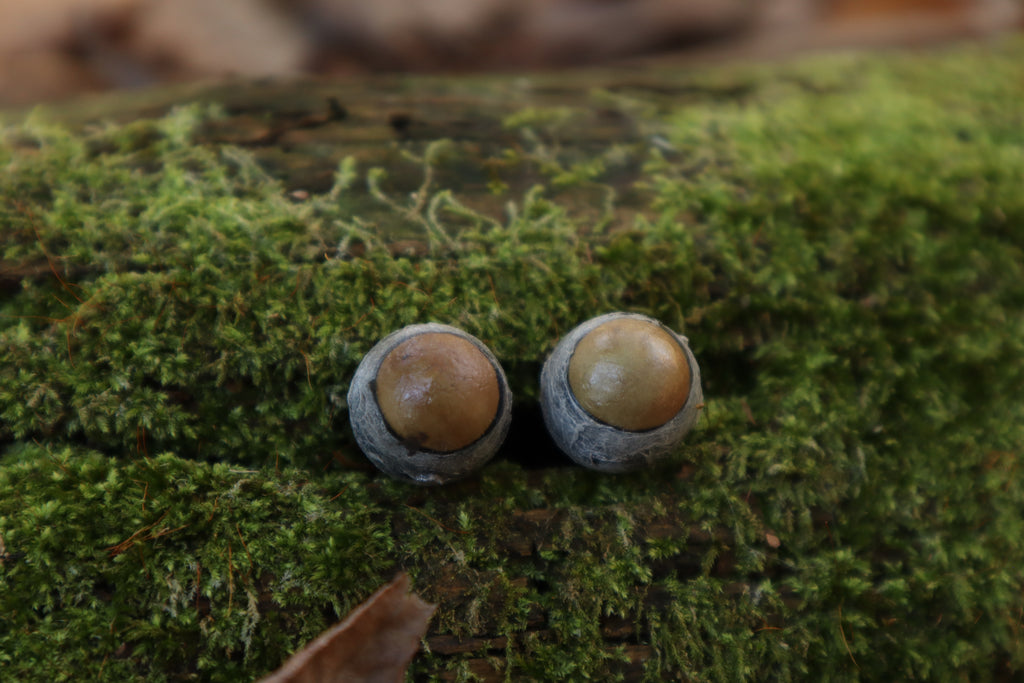 Dry Preserved Kitten Eyeballs