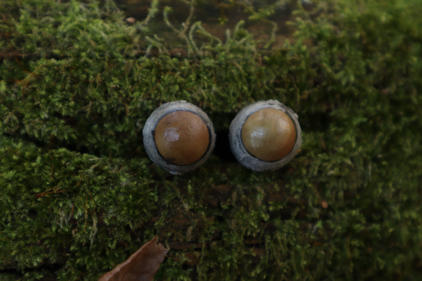 Dry Preserved Kitten Eyeballs