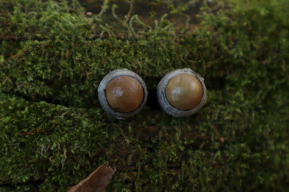 Dry Preserved Kitten Eyeballs