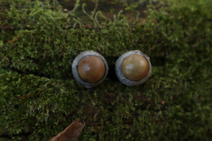 Dry Preserved Kitten Eyeballs