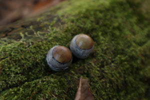 Dry Preserved Kitten Eyeballs