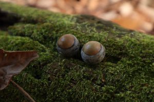 Dry Preserved Kitten Eyeballs