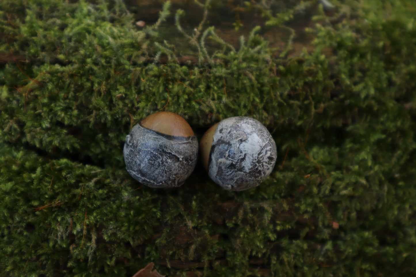 Dry Preserved Kitten Eyeballs