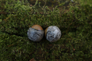 Dry Preserved Kitten Eyeballs