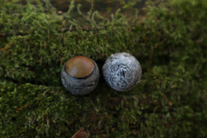 Dry Preserved Kitten Eyeballs