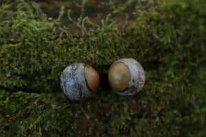 Dry Preserved Kitten Eyeballs