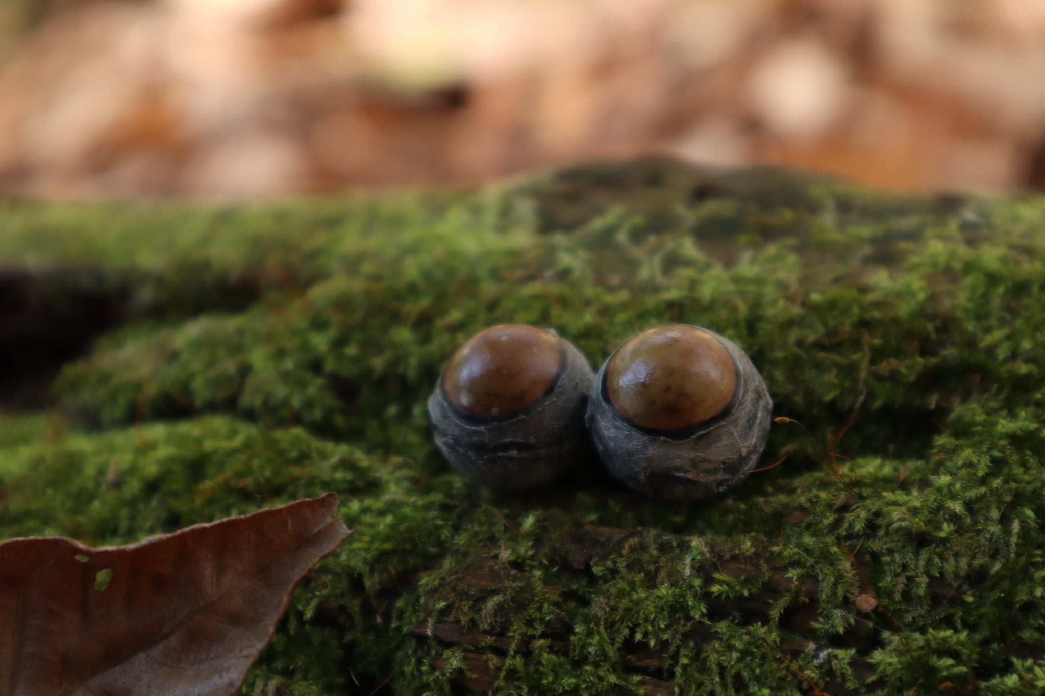 Dry Preserved Kitten Eyeballs