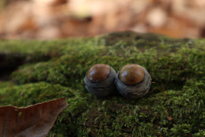 Dry Preserved Kitten Eyeballs