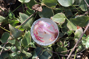 Diaphonized Chick Crystal Egg