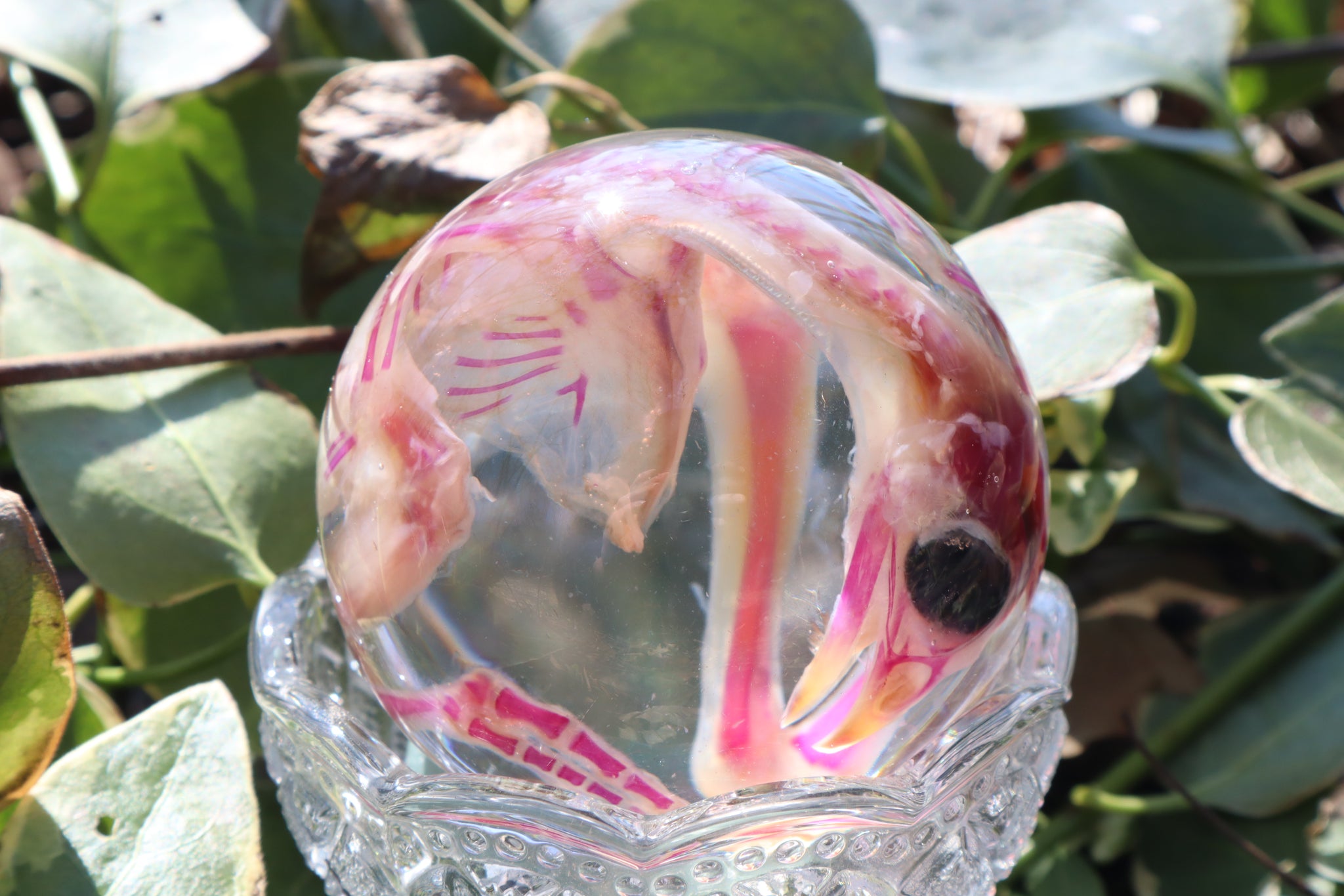 Diaphonized Chick Crystal Egg
