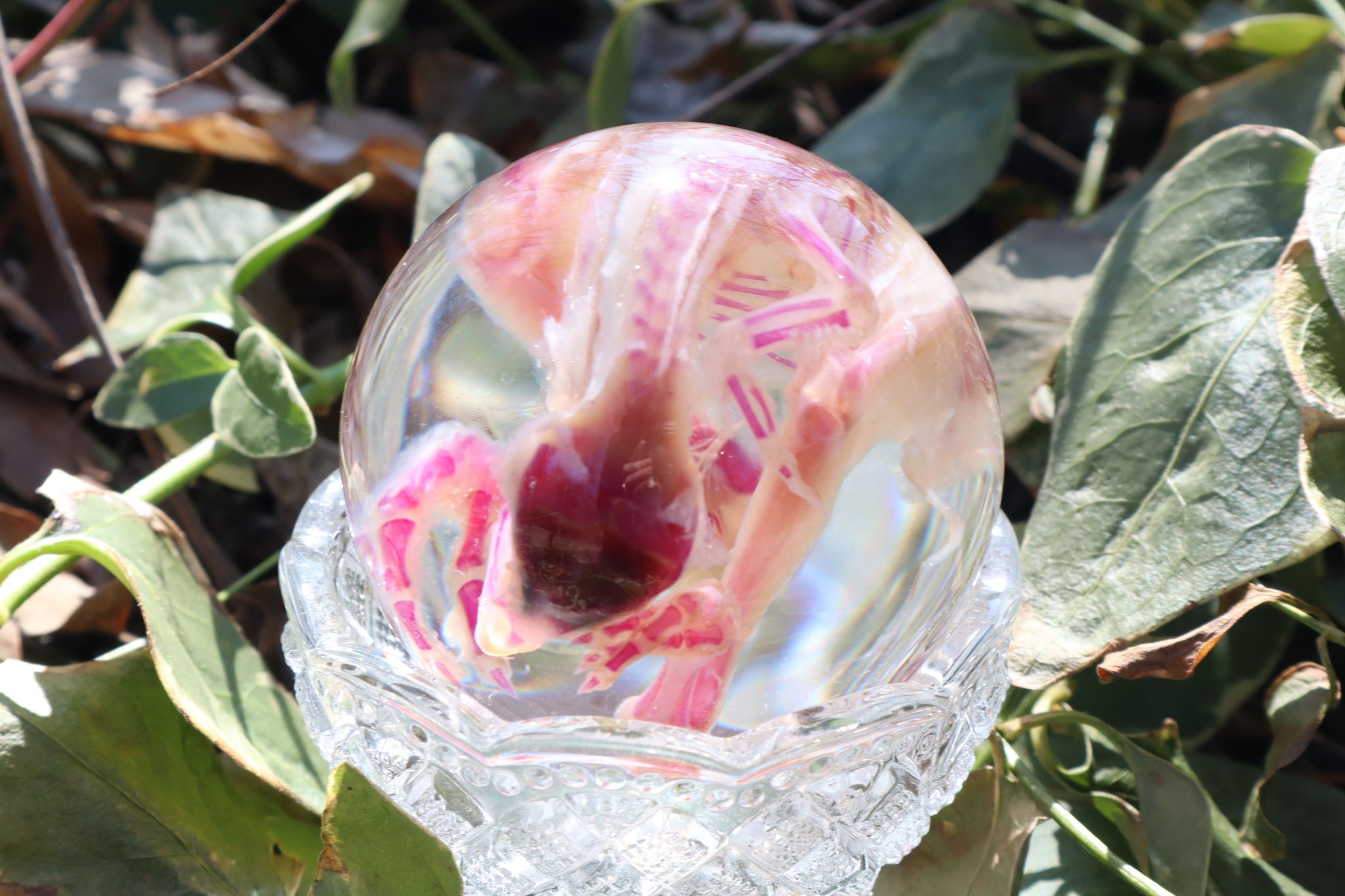 Diaphonized Chick Crystal Egg
