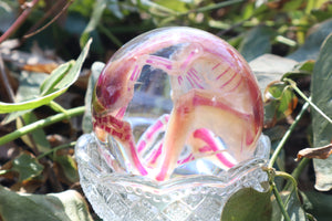 Diaphonized Chick Crystal Egg