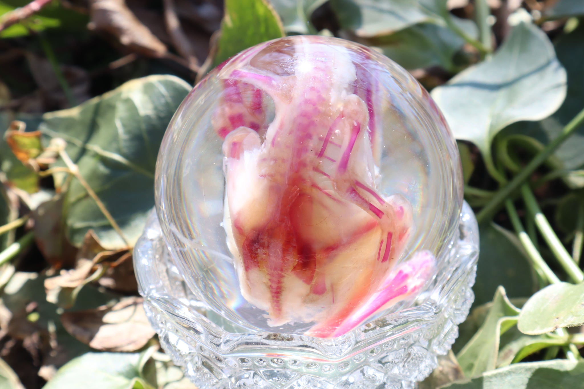 Diaphonized Chick Crystal Egg