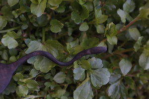 Goat Horn Offering Spoon