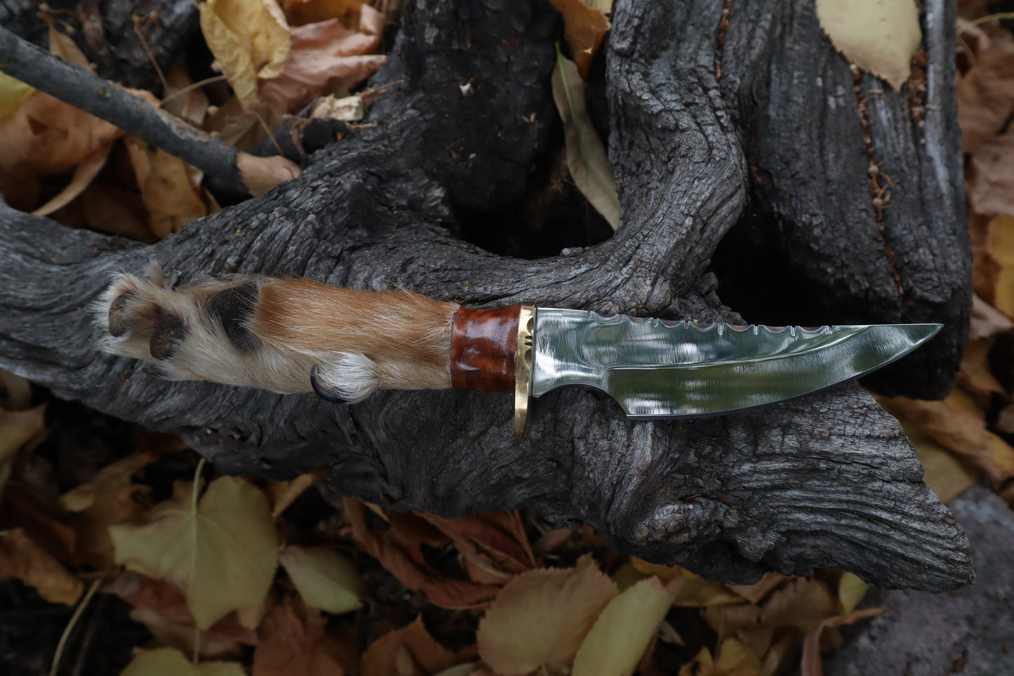 Sorceror's Coyote Paw Knife