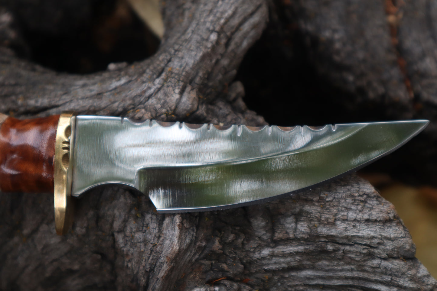 Sorceror's Coyote Paw Knife