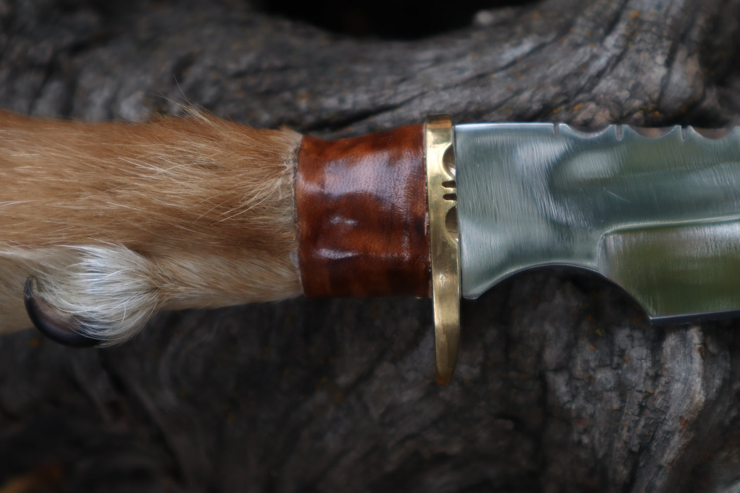 Sorceror's Coyote Paw Knife