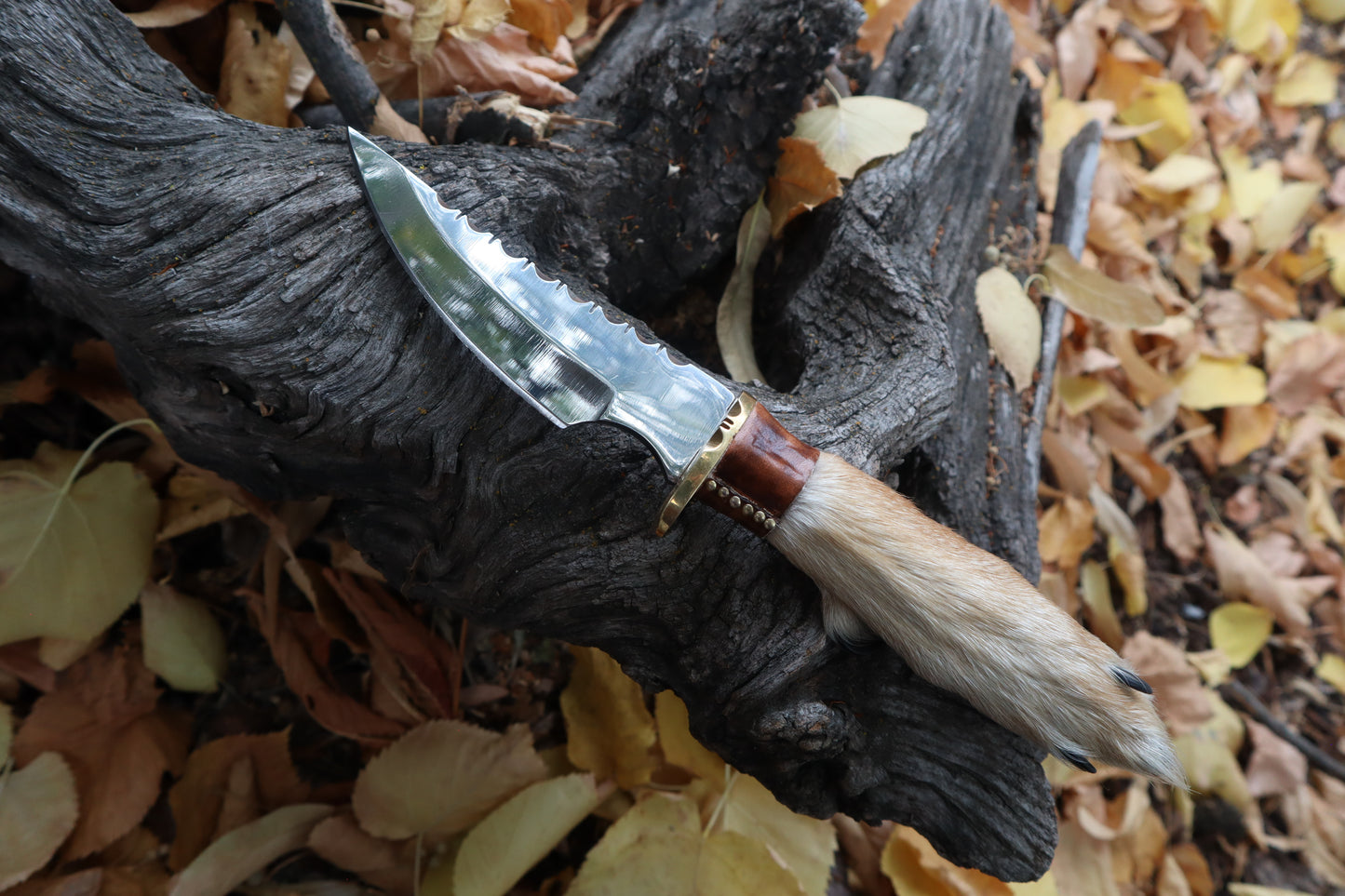 Sorceror's Coyote Paw Knife