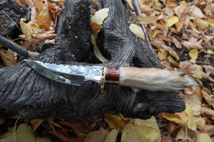 Sorceror's Coyote Paw Knife