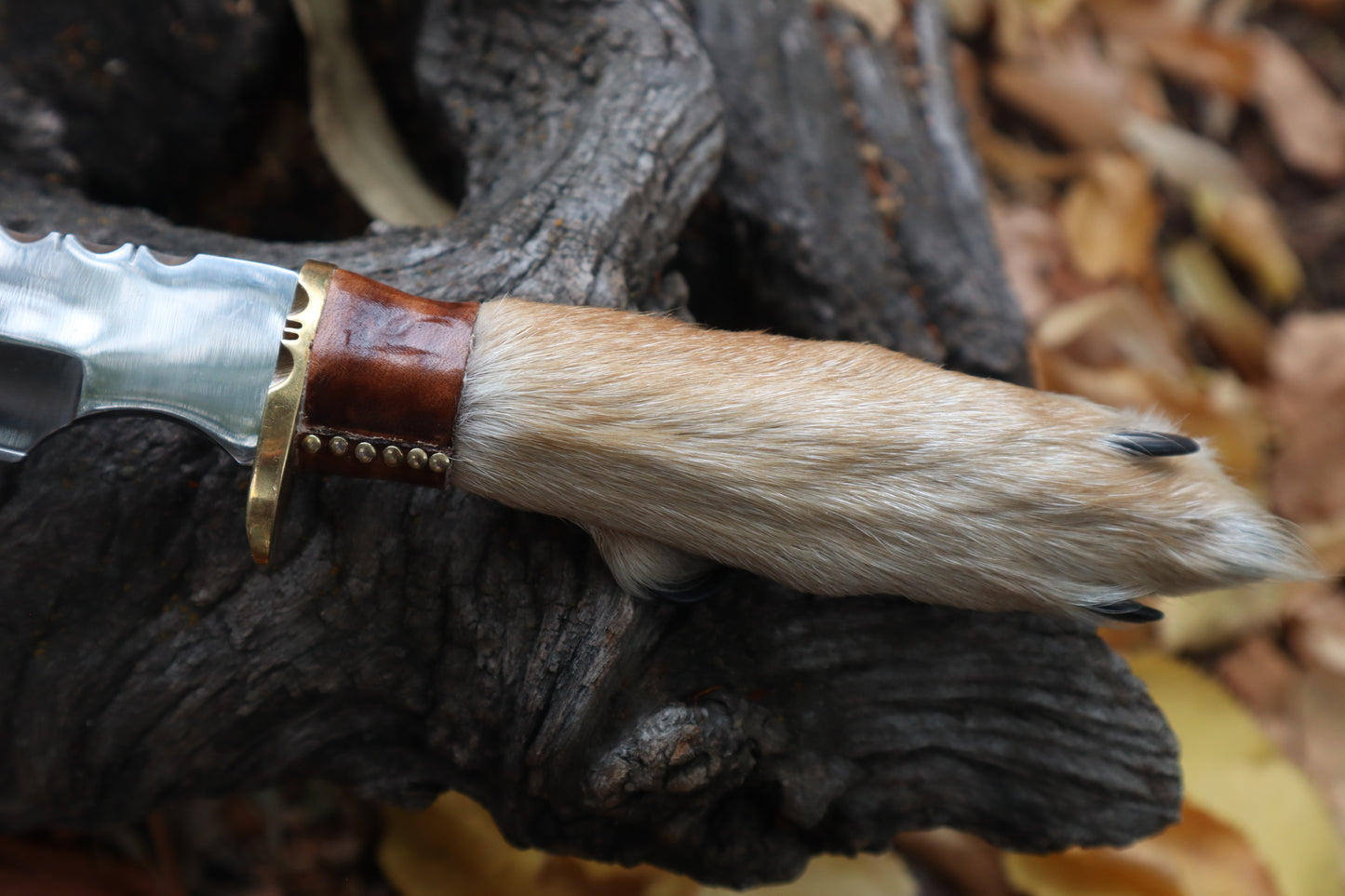Sorceror's Coyote Paw Knife