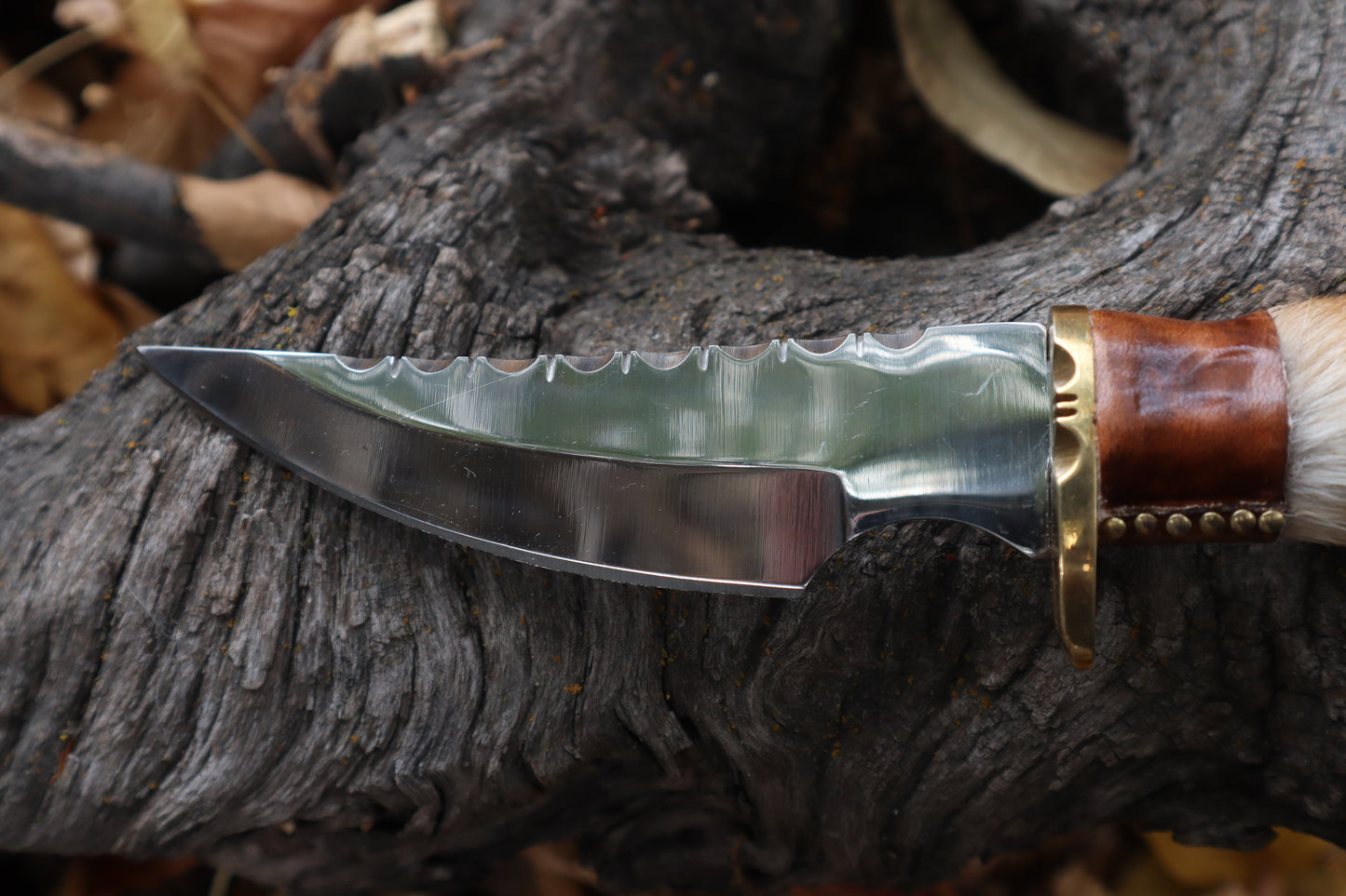 Sorceror's Coyote Paw Knife