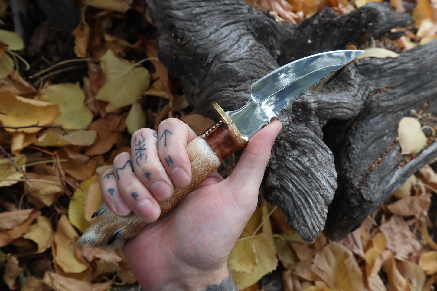Sorceror's Coyote Paw Knife