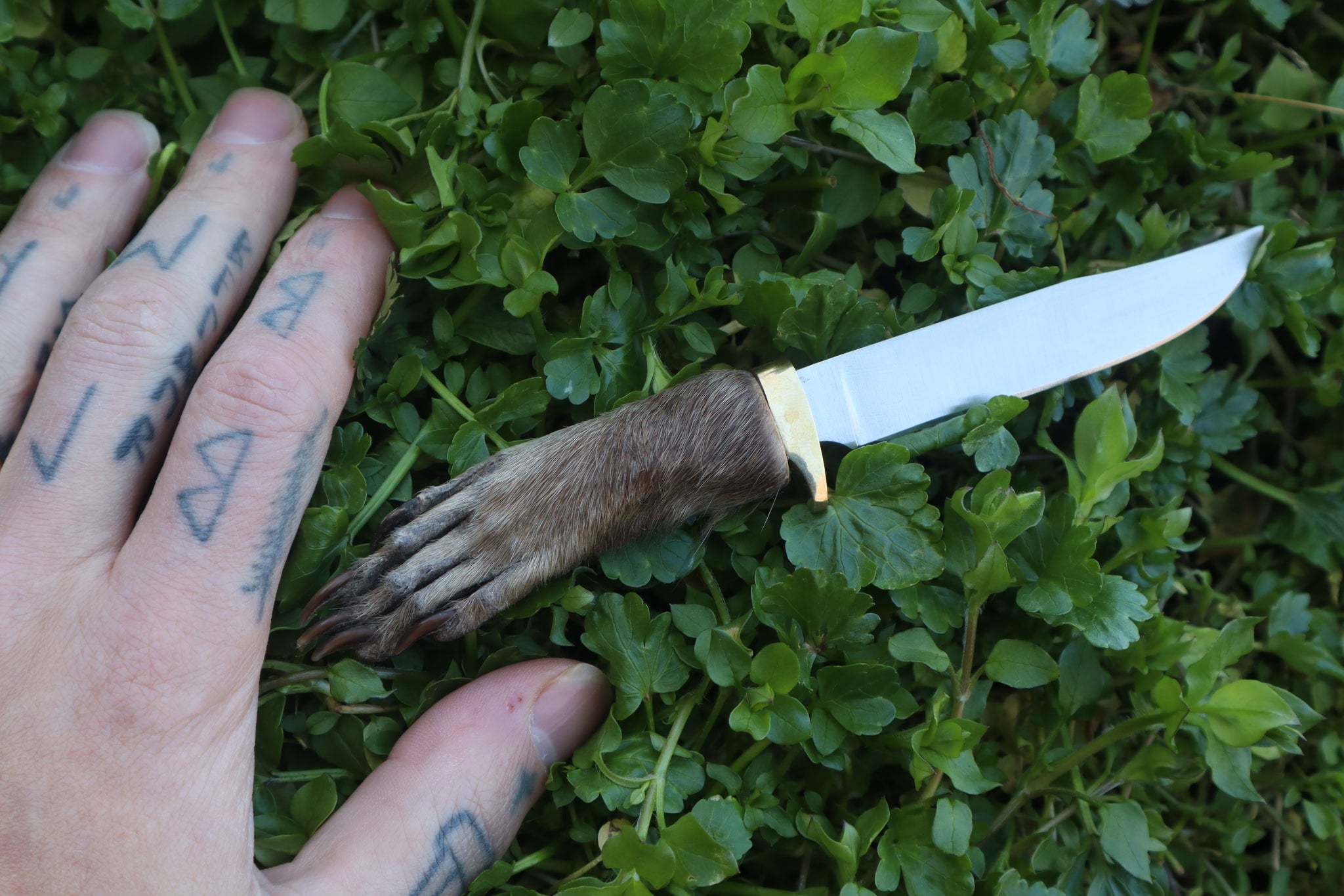 Raccoon Paw Knife