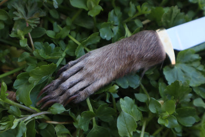 Raccoon Paw Knife