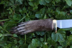 Raccoon Paw Knife