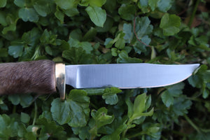 Raccoon Paw Knife