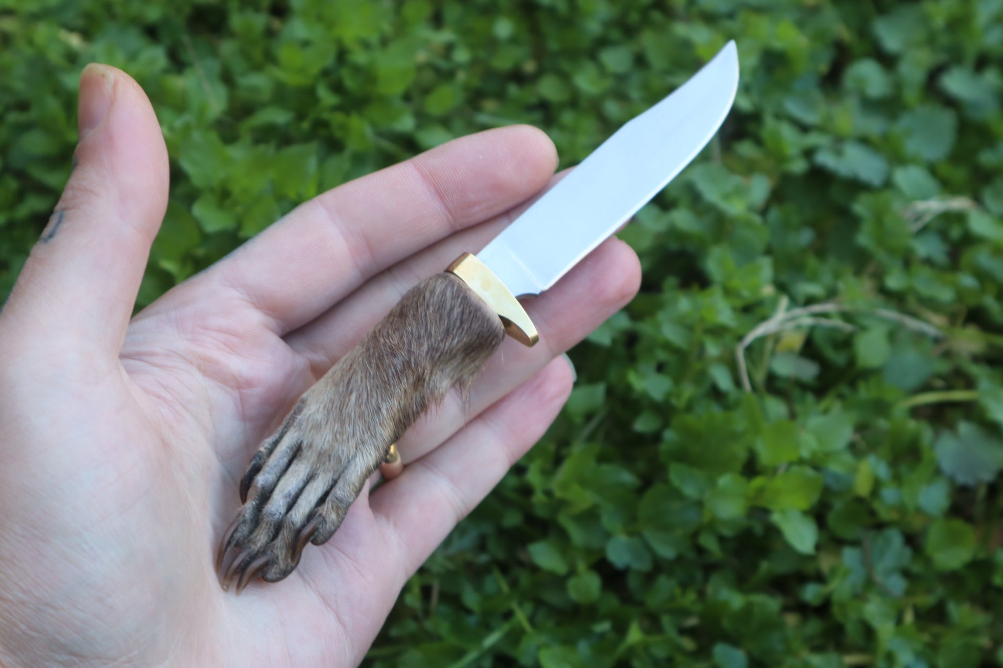 Raccoon Paw Knife