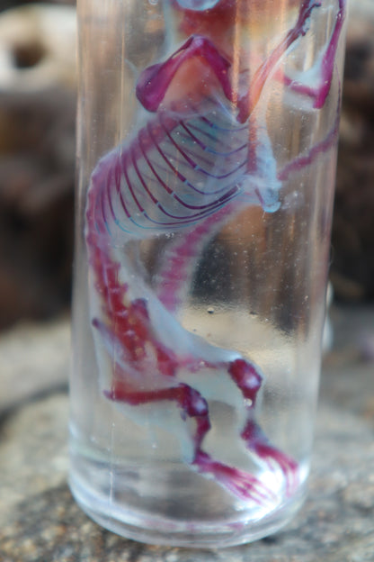 Diaphonized Rat with Ears