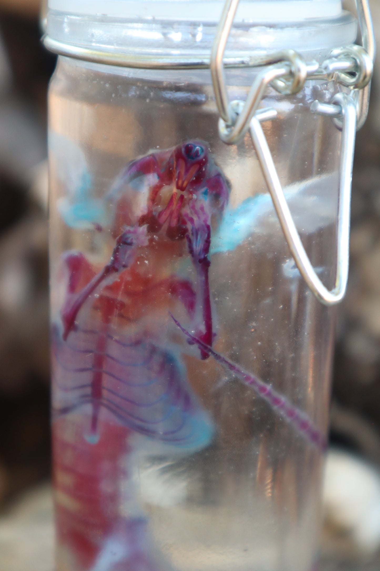 Diaphonized Rat with Ears