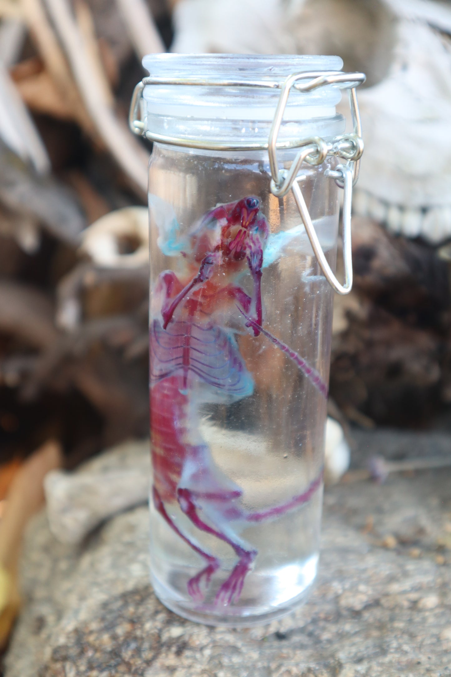 Diaphonized Rat with Ears