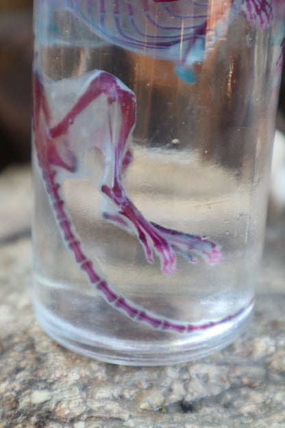 Diaphonized Rat with Ears