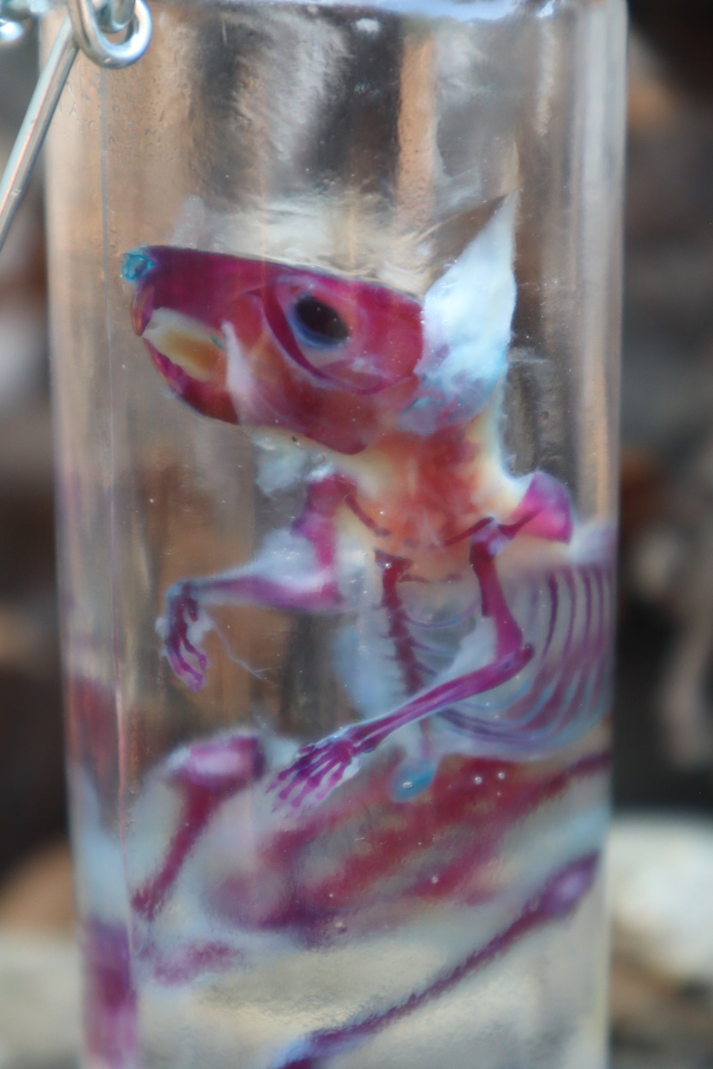 Diaphonized Rat with Ears